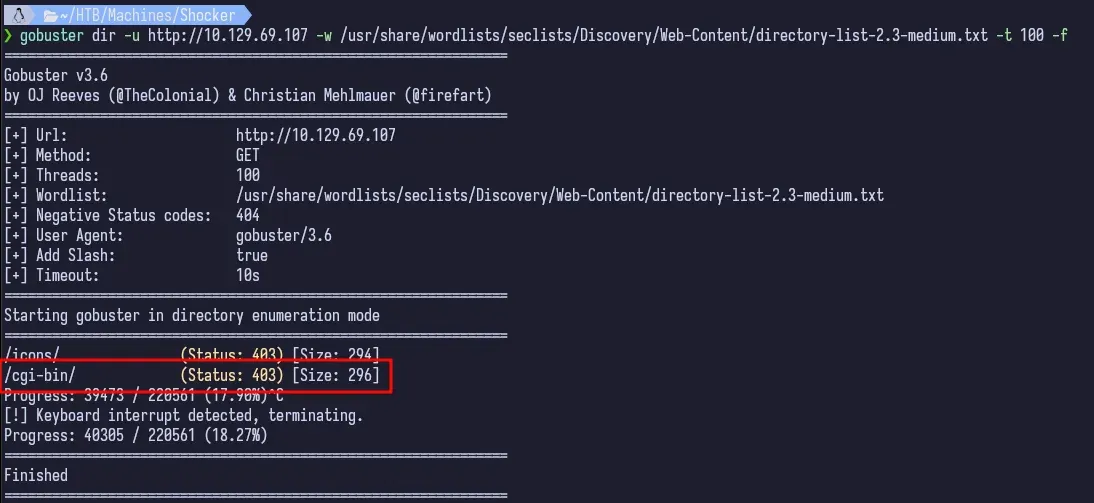 gobuster1