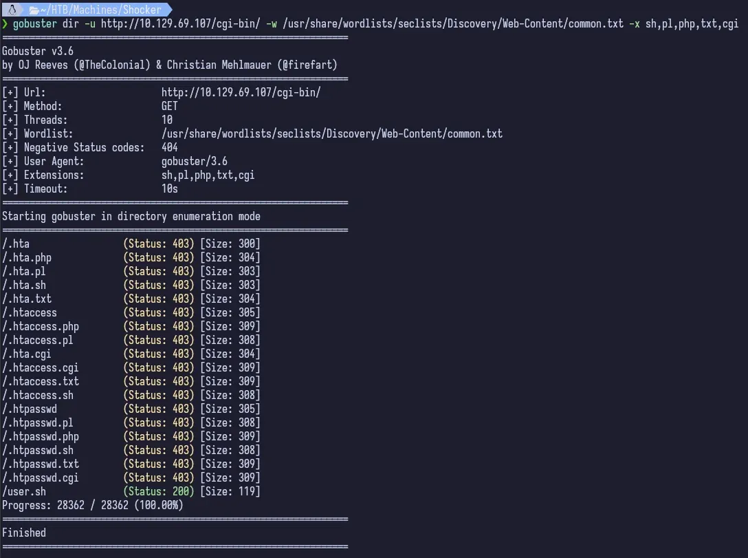 gobuster2
